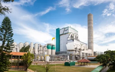 Indústria brasileira de papel e celulose é modelo na adoção de práticas ESG