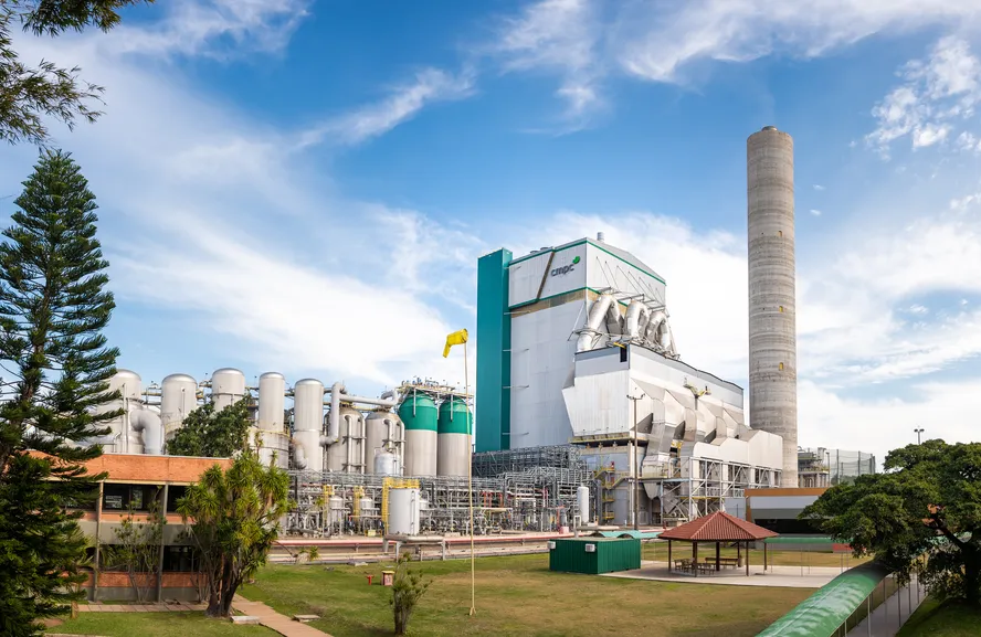Indústria brasileira de papel e celulose é modelo na adoção de práticas ESG
